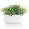 Eva Solo Selvvandende Herb Organiser Hvid -Södahl Butik 5706631191692