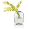 Eva Solo Acorn Vase Clear H16,5 Cm -Södahl Butik 5706631219204